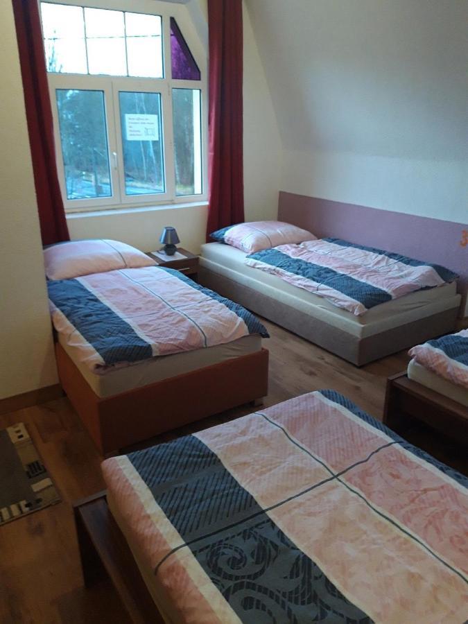 Ferienwohnung Erz-Hostel Thermalbad Wiesenbad Ngoại thất bức ảnh