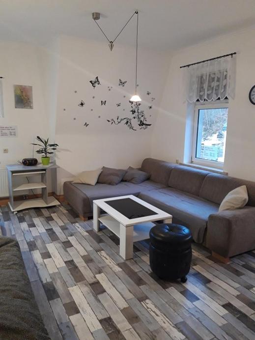 Ferienwohnung Erz-Hostel Thermalbad Wiesenbad Ngoại thất bức ảnh