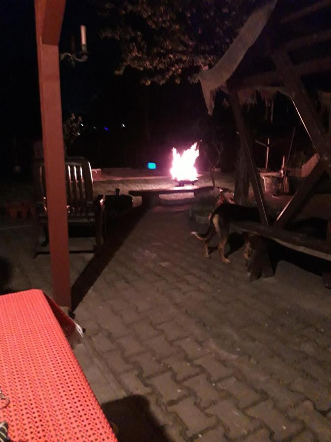 Ferienwohnung Erz-Hostel Thermalbad Wiesenbad Ngoại thất bức ảnh